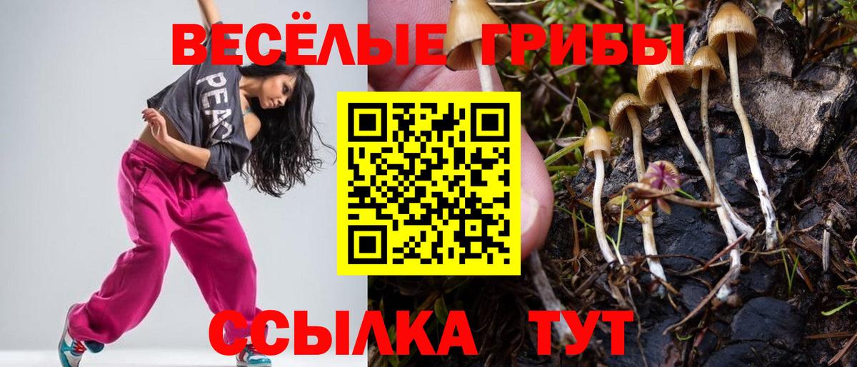 Тамбов  Галлюциногенные грибы мухоморы  магазин продажи   Вход с VPN 