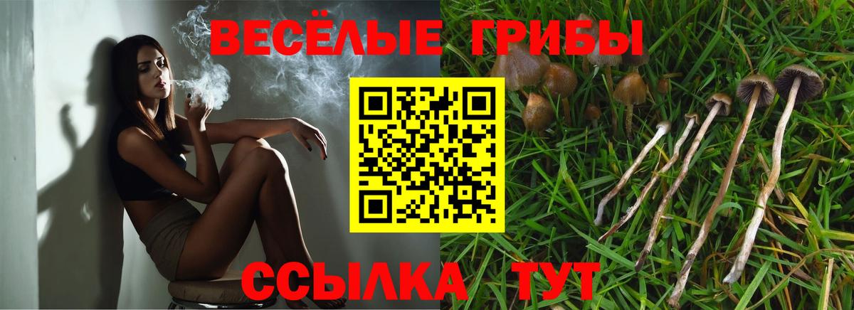 Псилоцибиновые грибы MAGIC MUSHROOMS Тамбов